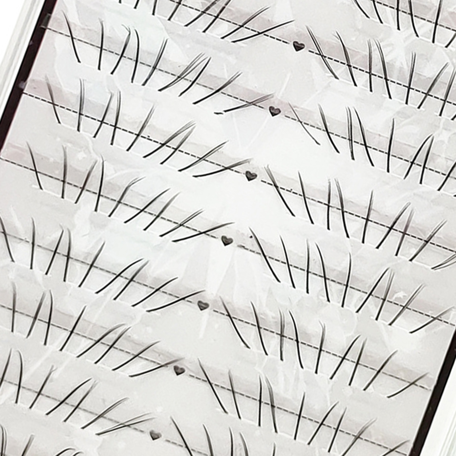 내추럴 캣 퍼 로워 래쉬 C 컬 데일리 메이크업용 가벼 - Eyelash Extension Cat Eye 리뷰 및 가격